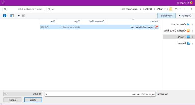 Windows资源管理器窗口显示，突出显示一个重要文档，准备打开